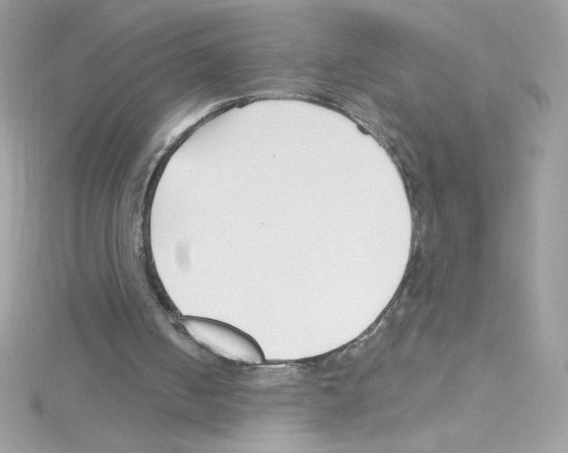 X0000114400050200911271524