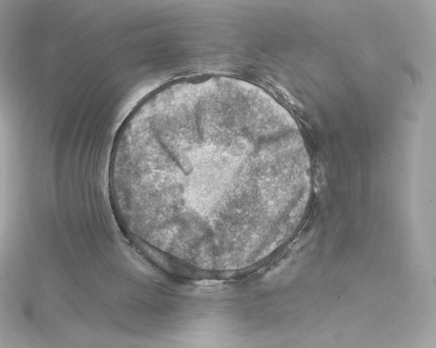 X0000114400052200911271524