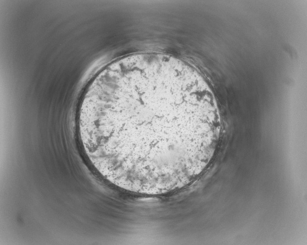 X0000114400053200911271524