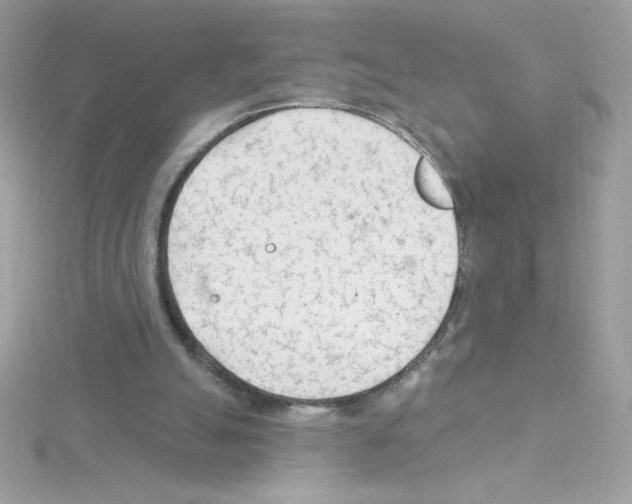 X0000114400055200911271524