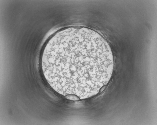 X0000114400056200911271524