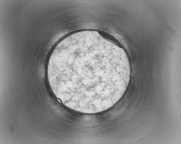 X0000114400060200911271524