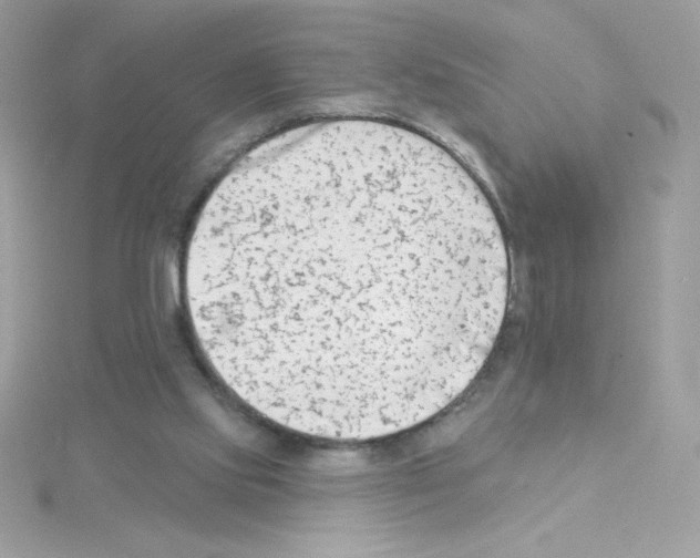 X0000114400061200911271524