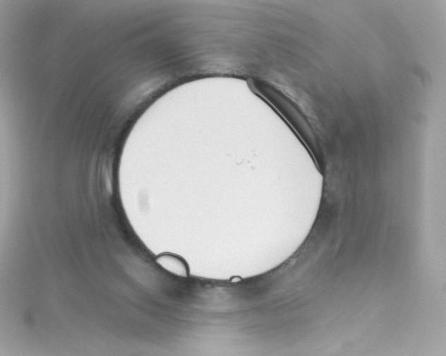 X0000114400062200911271524