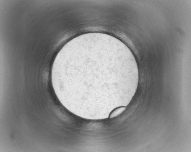 X0000114400063200911271524