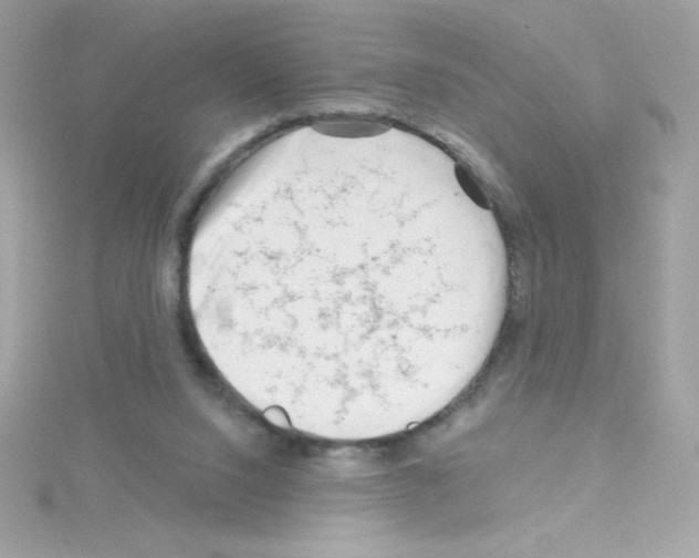 X0000114400064200911271524