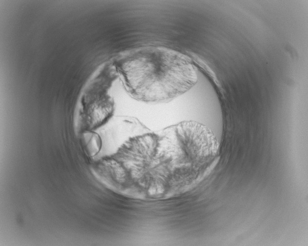 X0000114400069200911271524