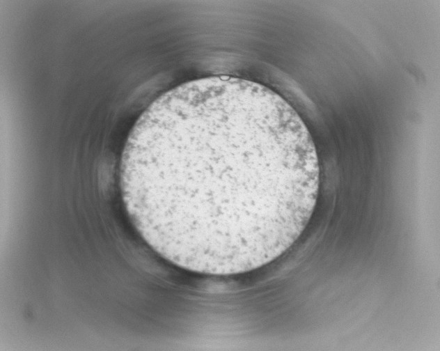 X0000114400073200911271524