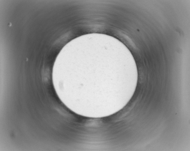 X0000114400077200911271525