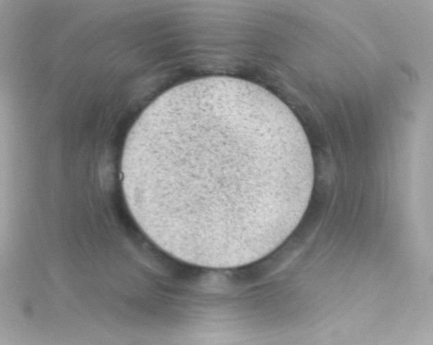 X0000114400080200911271525