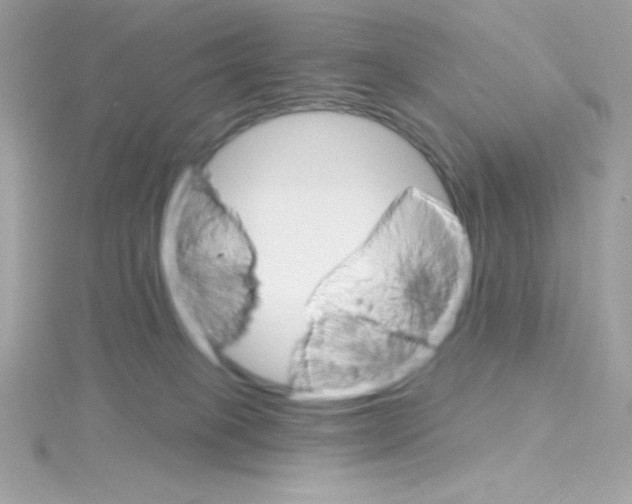 X0000114400085200911271525