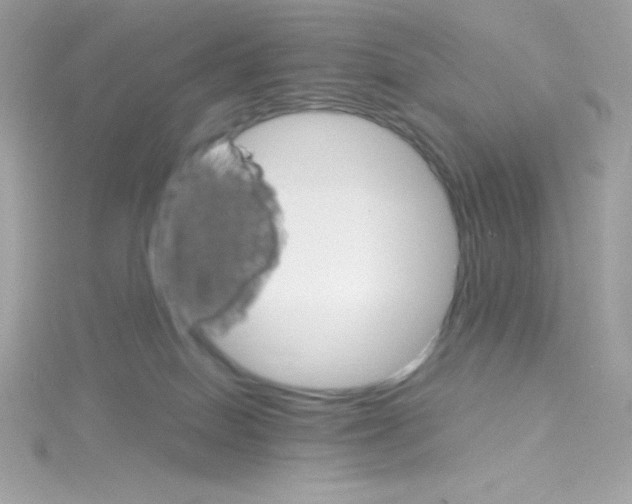 X0000114400086200911271525