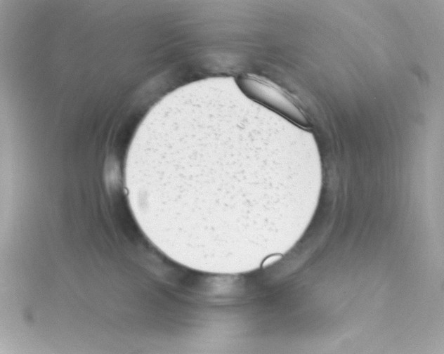 X0000114400089200911271525