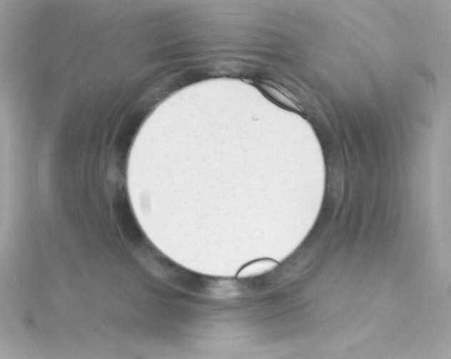 X0000114400091200911271525