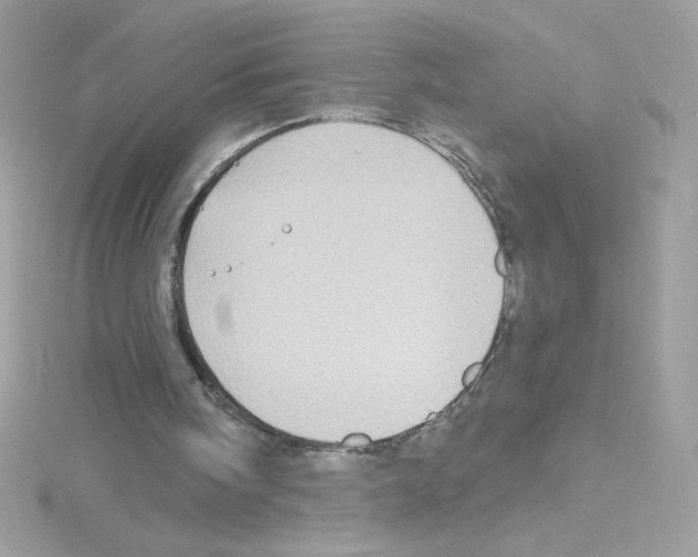 X0000114400098200911271524