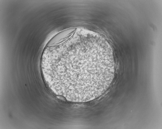 X0000114400099200911271524