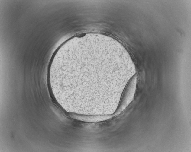 X0000114400100200911271524