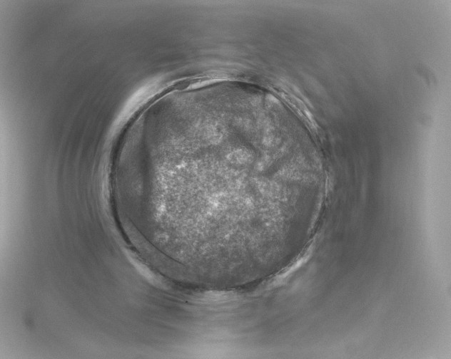 X0000114400101200911271524