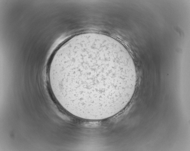 X0000114400102200911271524