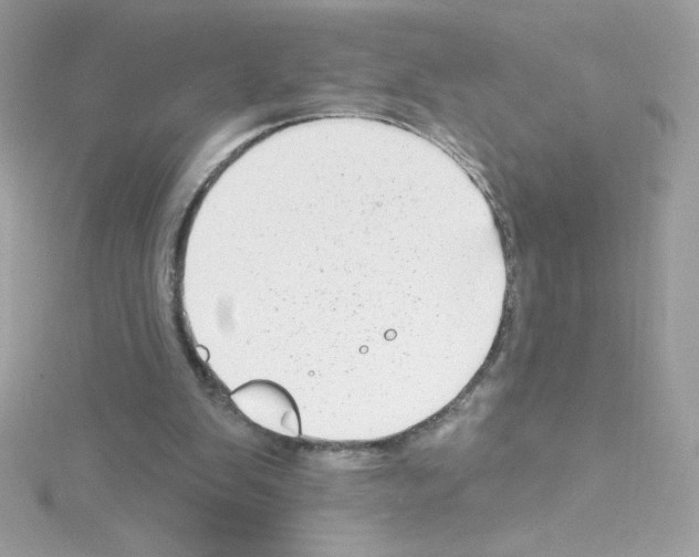 X0000114400103200911271524