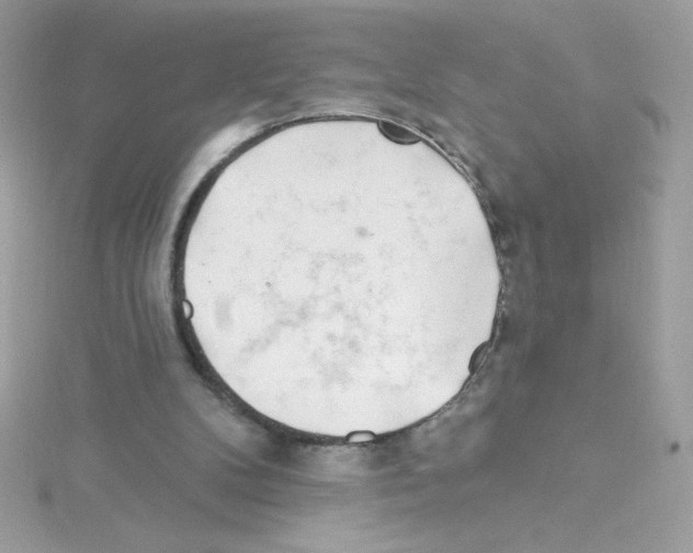 X0000114400104200911271524