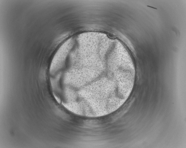 X0000114400105200911271524