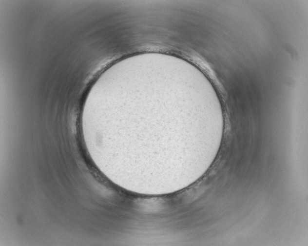 X0000114400106200911271524