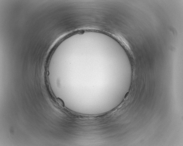 X0000114400108200911271524