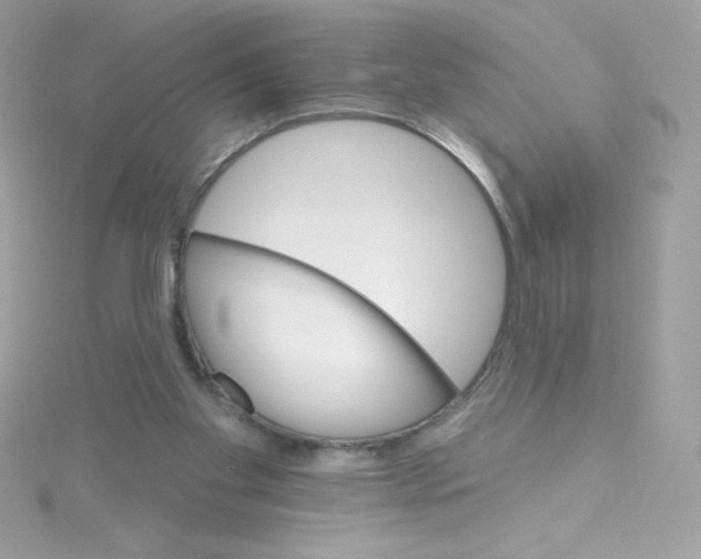 X0000114400109200911271524