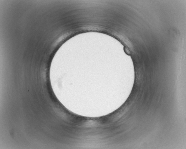 X0000114400111200911271524