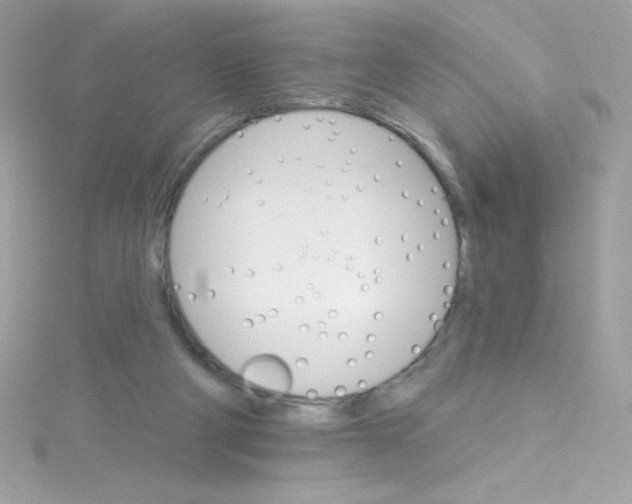 X0000114400114200911271524