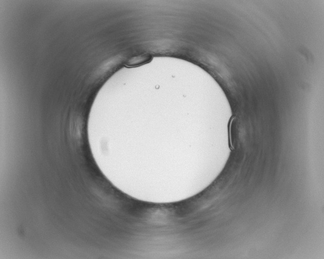 X0000114400115200911271524