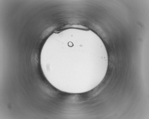 X0000114400116200911271524