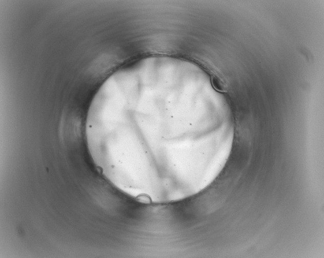 X0000114400117200911271524