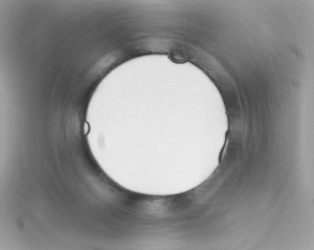 X0000114400120200911271524