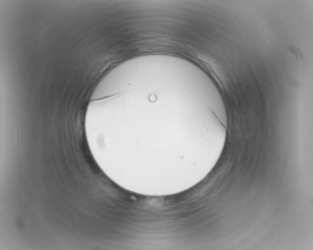 X0000114400121200911271524