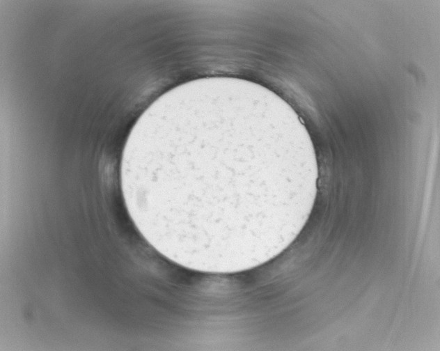 X0000114400123200911271524