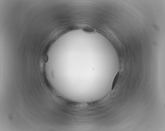 X0000114400124200911271524