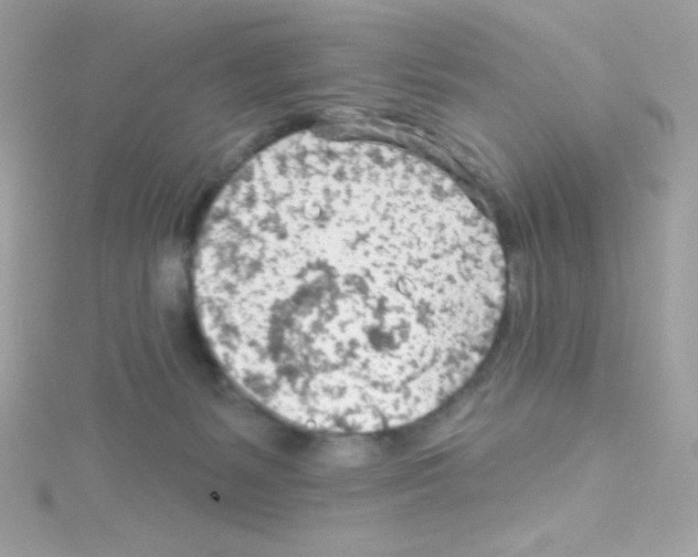 X0000114400127200911271524