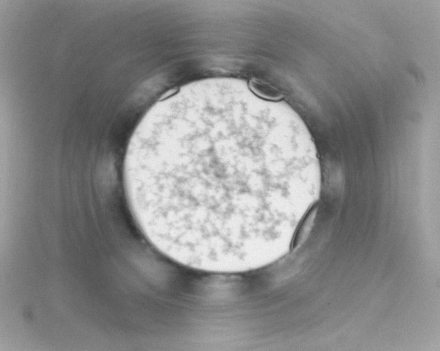 X0000114400128200911271524