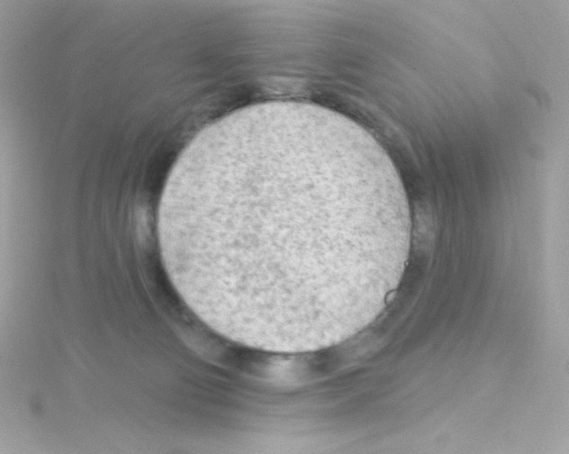 X0000114400130200911271524