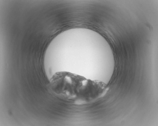 X0000114400131200911271524