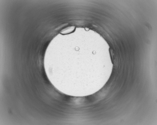 X0000114400135200911271524