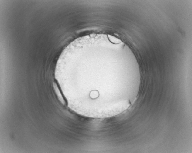 X0000114400136200911271524