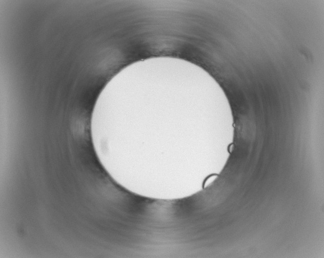 X0000114400138200911271524