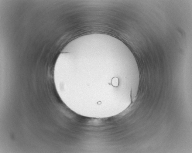 X0000114400140200911271524