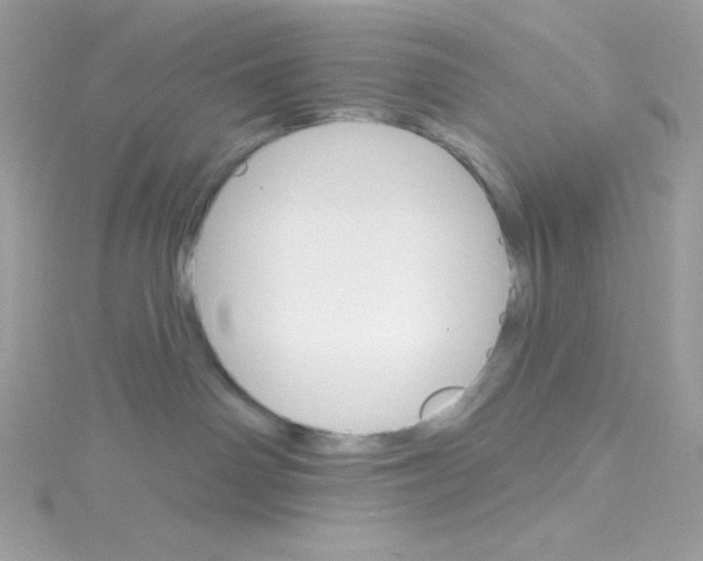 X0000114400142200911271524