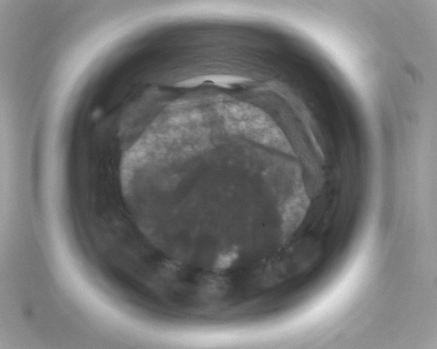 X0000114400143200911271524