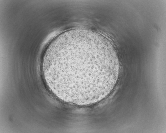 X0000114400149200911271523