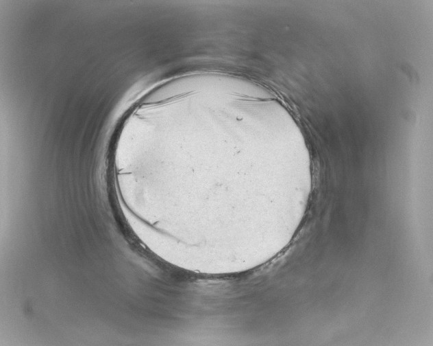 X0000114400150200911271523